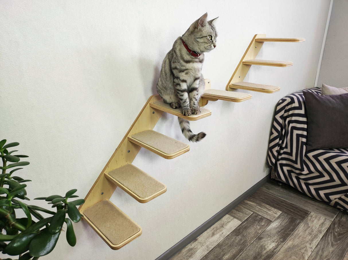 Wall-mounted cat ladder set with carpeted steps, perfect for active cats to climb, play, and explore indoors.