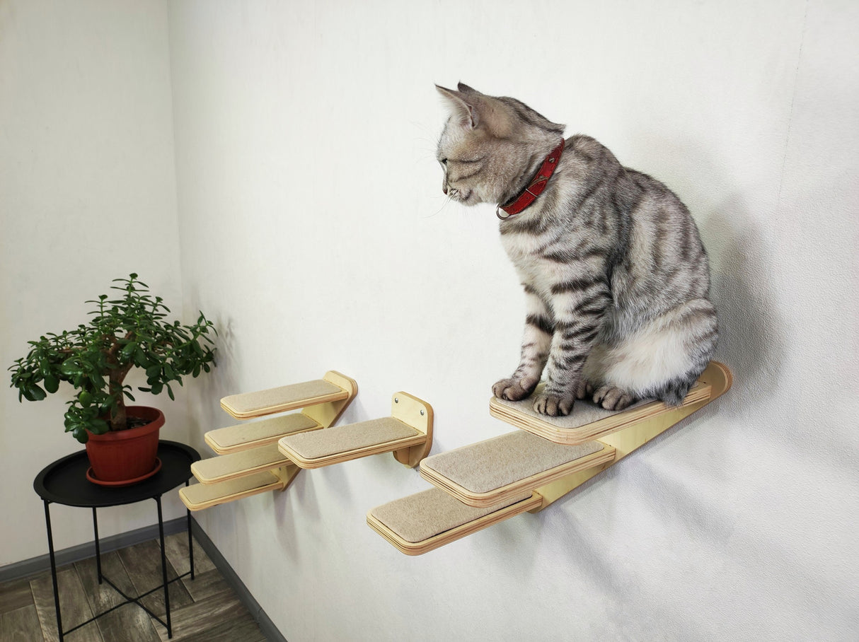 Modern cat climbing furniture set with soft steps, ideal for building cat walls in small homes.