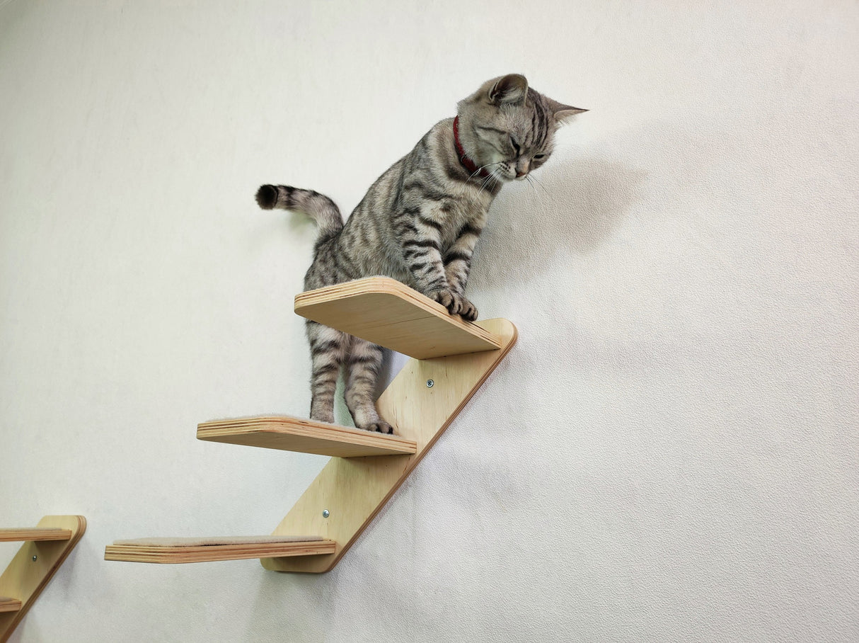 Multi-step cat ladder set with universal wall anchors, eco-friendly and safe for everyday use.