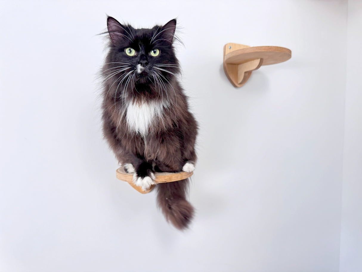 Three wall cat steps, round design, robust 15mm plywood. Offers climbing and resting spots, saves space