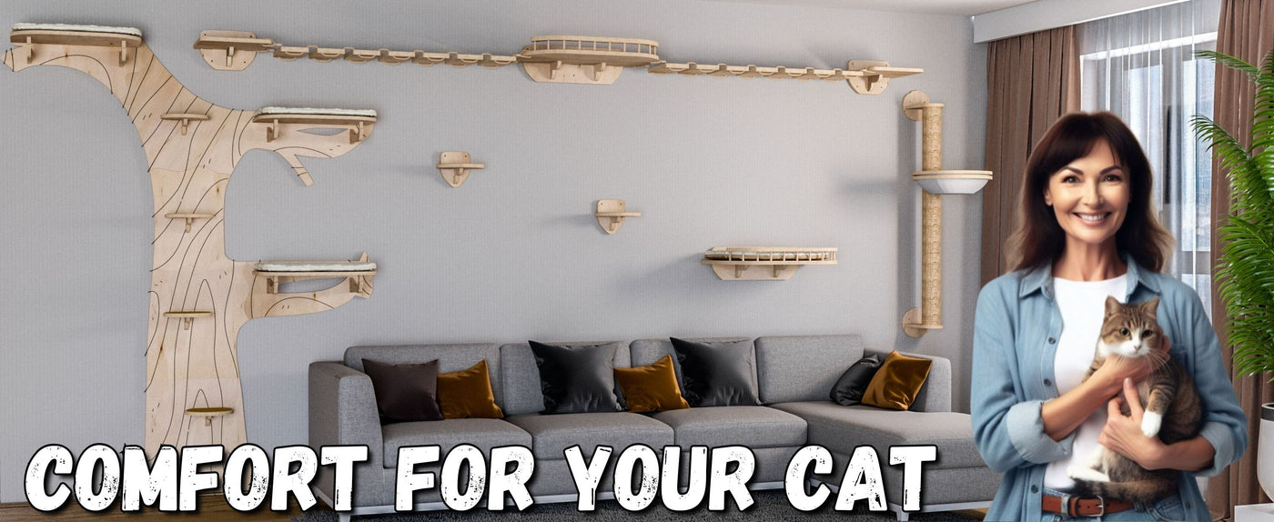 Woman holding a cat in a living room with cat trees and furniture.