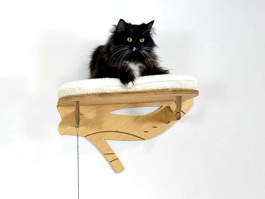 Cat sitting on a wooden shelf with a white cushion against a white background