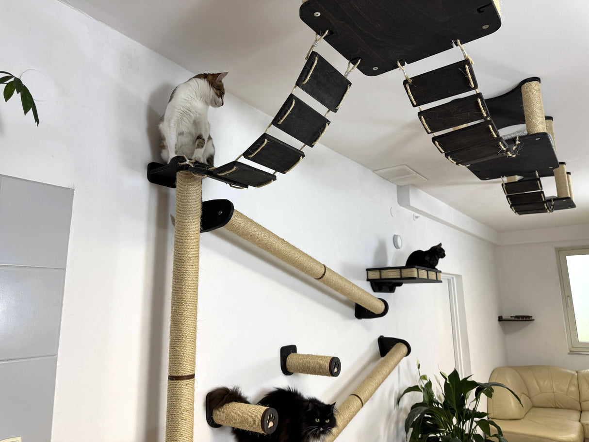 ultimate cat wall and ceiling complex