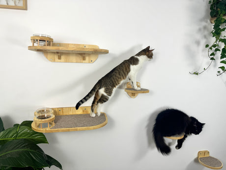 Set of 2 cat shelves with bowls and steps