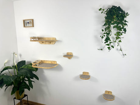 light cat wall shelves with bowl and steps