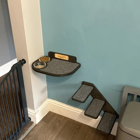 Minimalist cat feeding shelf with sturdy design and glass dishes