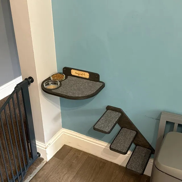 Minimalist cat feeding shelf with sturdy design and glass dishes