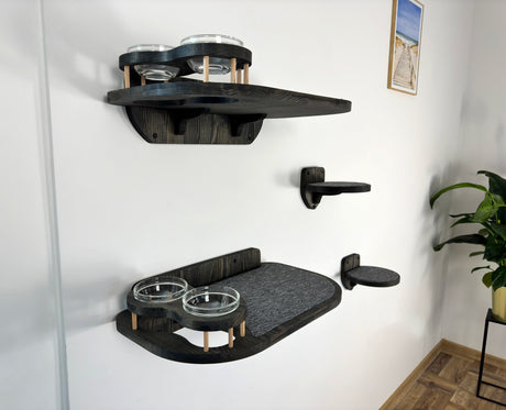 cat shelves with glass bowls
