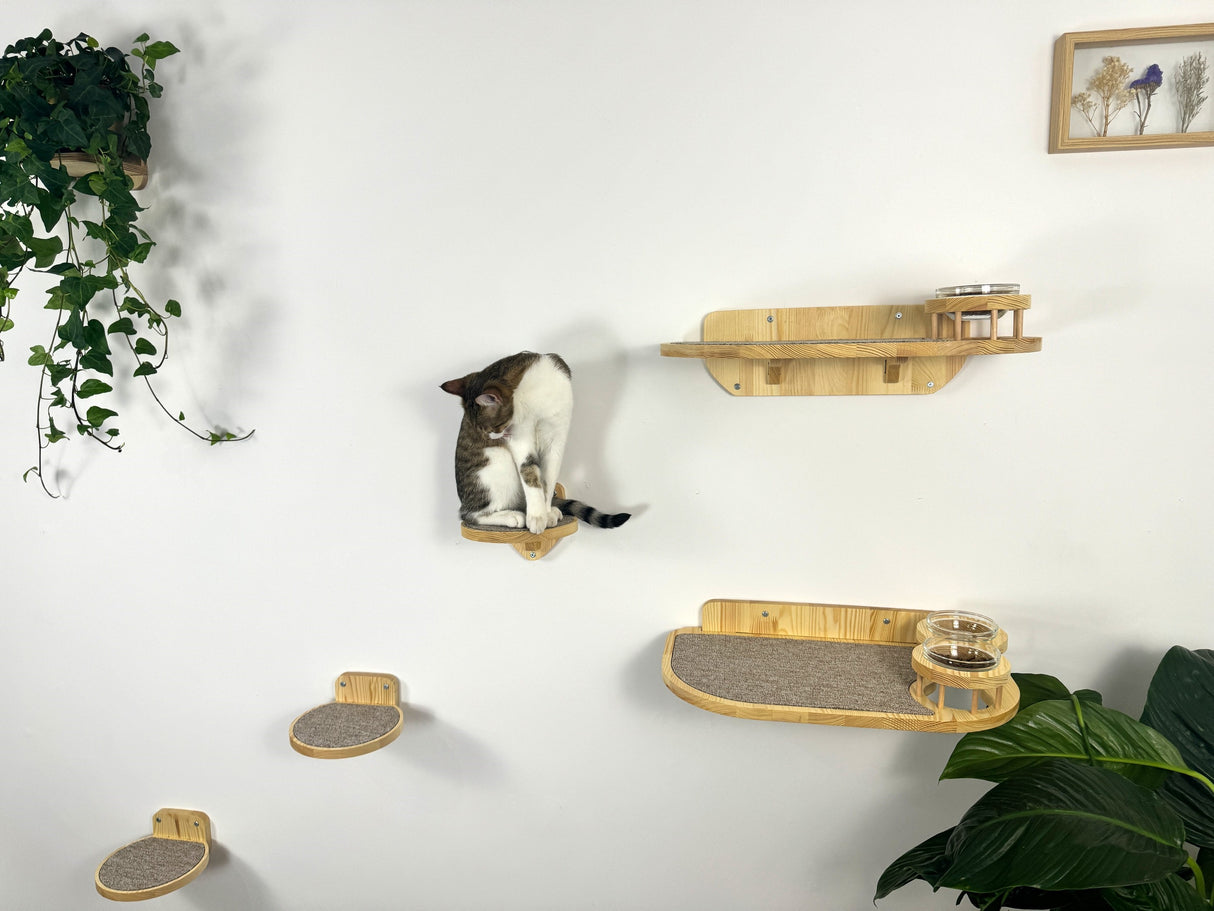 feeding a cat on a hill