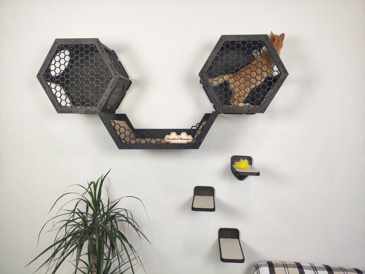 Set of hexagonal wall-mounted cat perches in dark wood color. 3 shelves and 3 steps for cat comfort