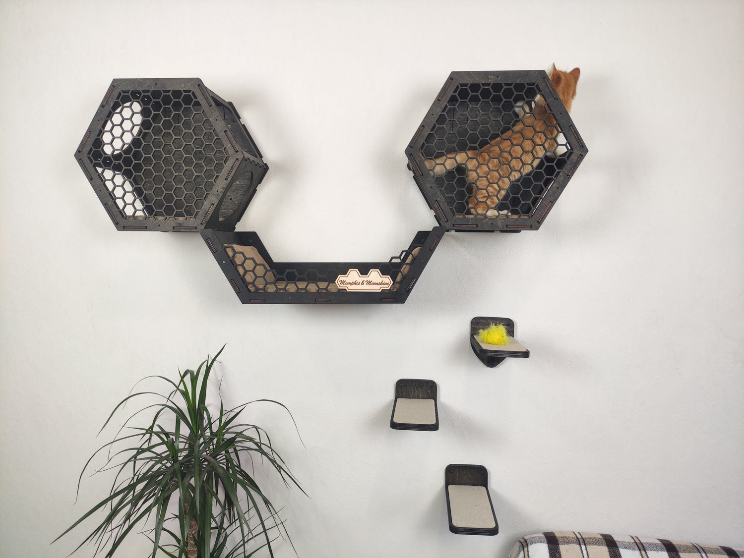 Set of hexagonal wall-mounted cat perches in dark wood color. 3 shelves and 3 steps for cat comfort