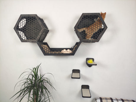 Set of hexagonal wall-mounted cat perches in dark wood color. 3 shelves and 3 steps for cat comfort