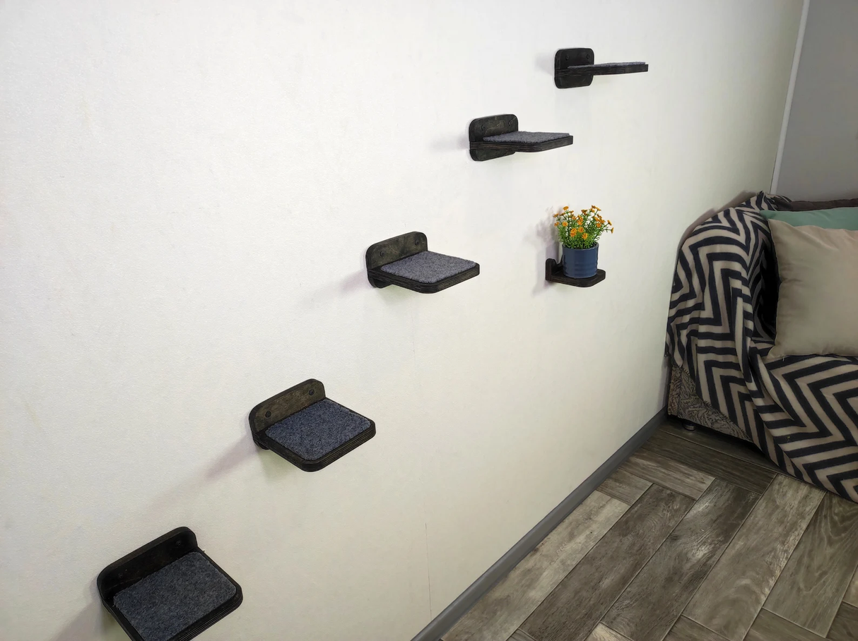 dark steps for cat in the room