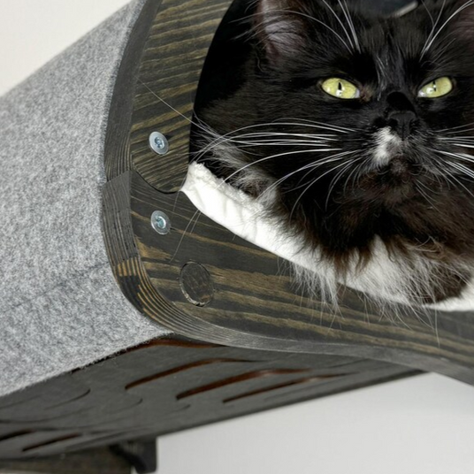 cat tunnel