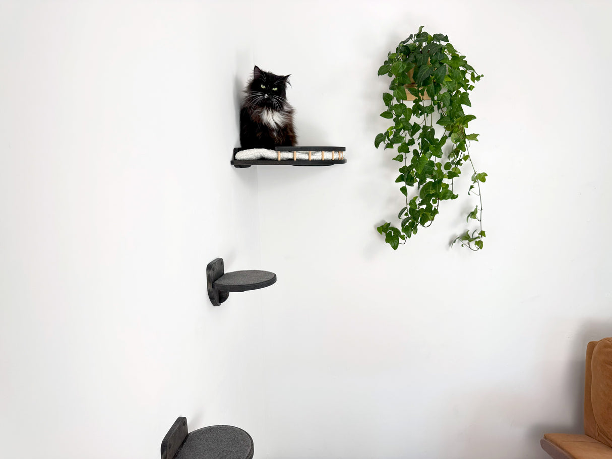 wall mounted cat shelves