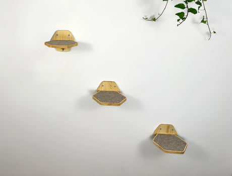 three Hexgonal Wall-Mounted Cat Steps