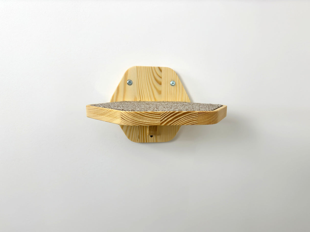 light cat step on the wall