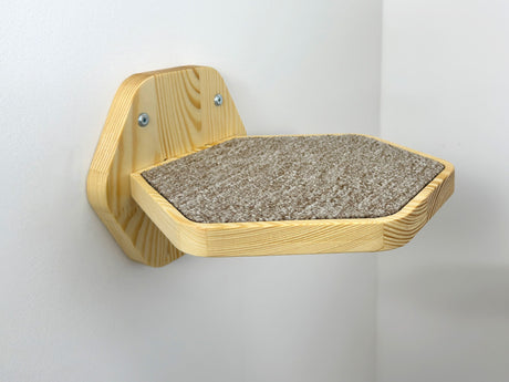 brown carpet on light cat step