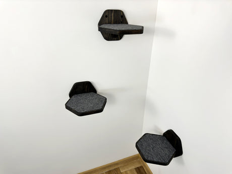 drak wood cat steps on the room