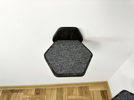grey carpet on the dark cat step