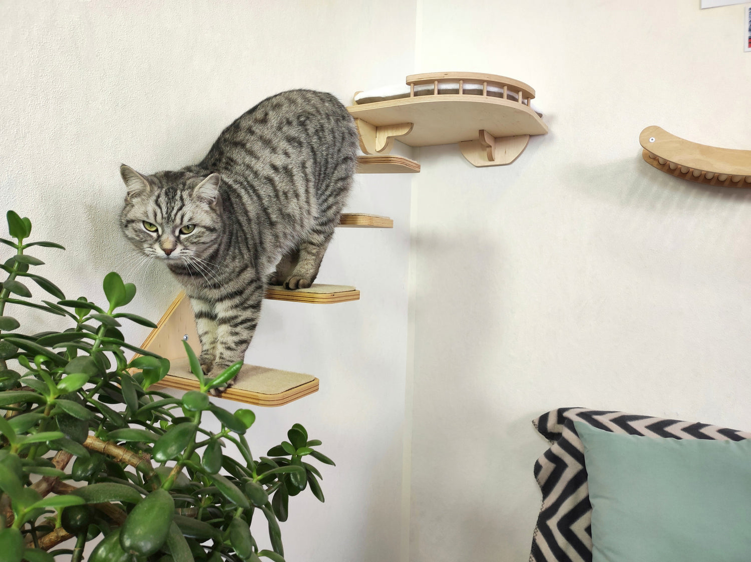 Modern wooden cat climbing furniture on a wall
