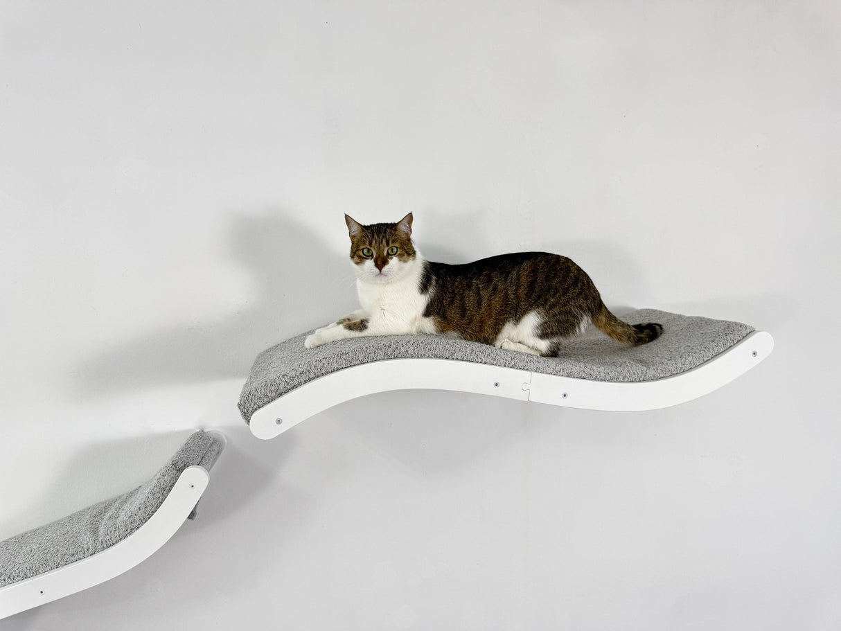 Cat lounging on a modern cat shelf with a white background