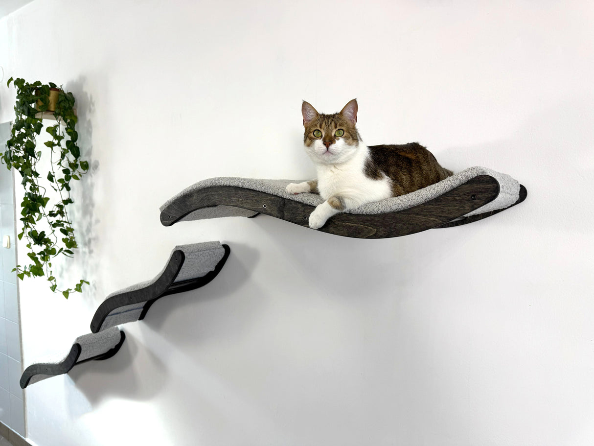 Cat lounging on a modern cat shelf against a white wall with a plant.