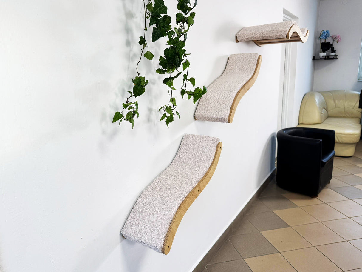 Cat climbing shelves on a white wall with a plant and a black cat bed in the foreground.