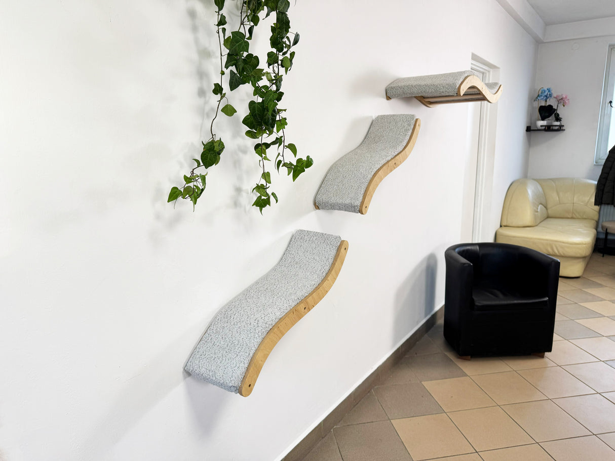 Wall-mounted cat shelves in a room with a couch and plant