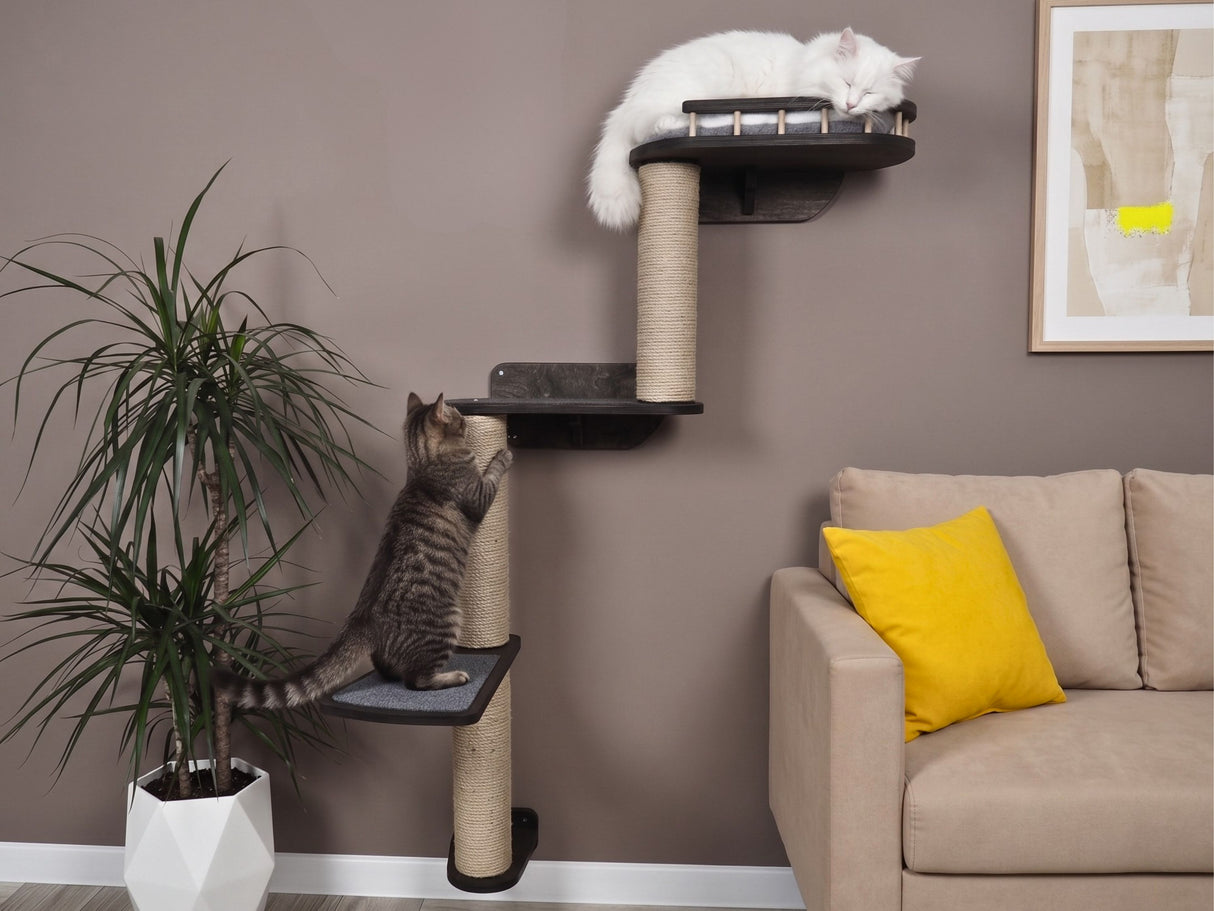 Cat climbing a cat tree in a living room with a plant and sofa.