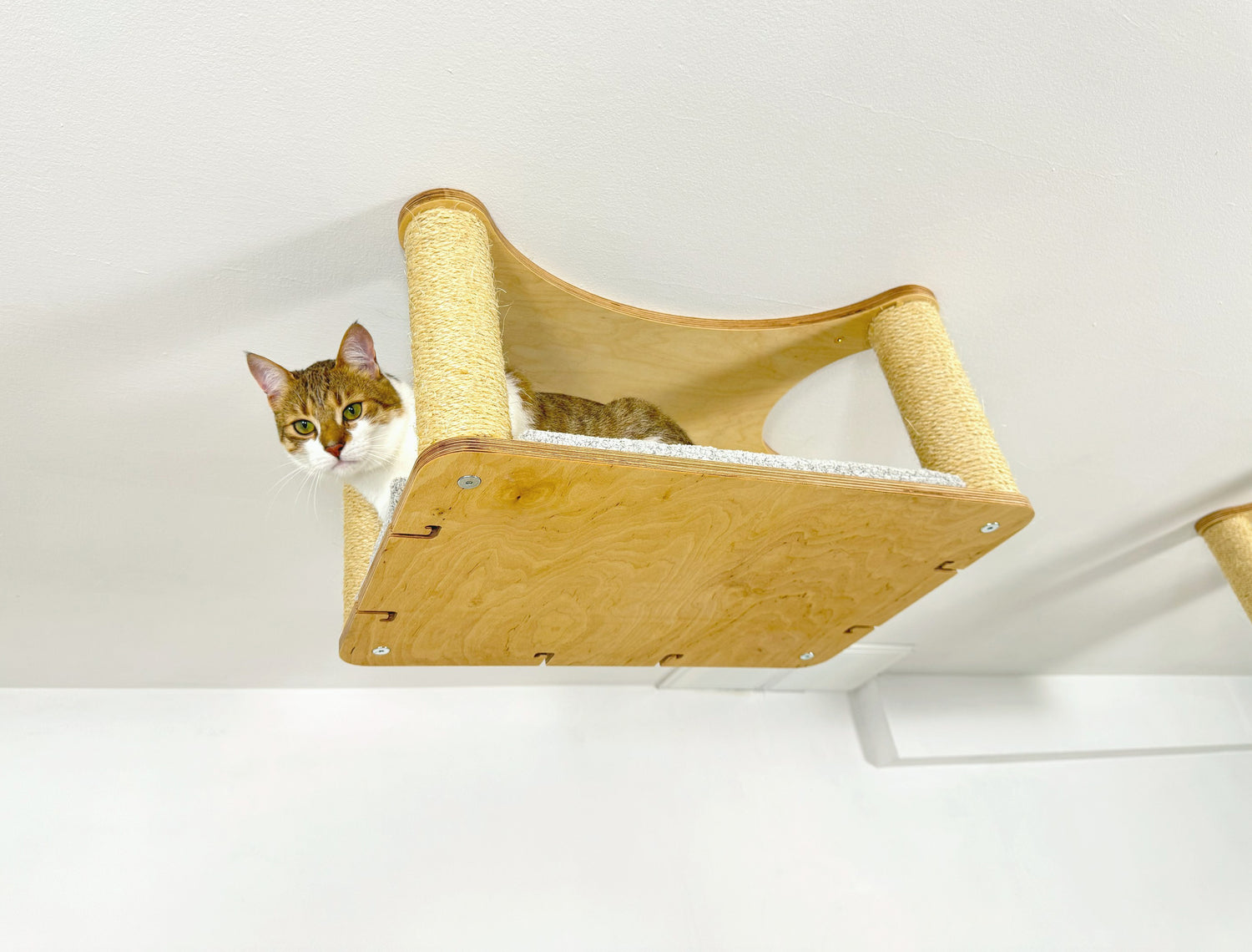 Modern Wood Cat Wall Furniture