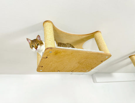 Modern Wood Cat Wall Furniture