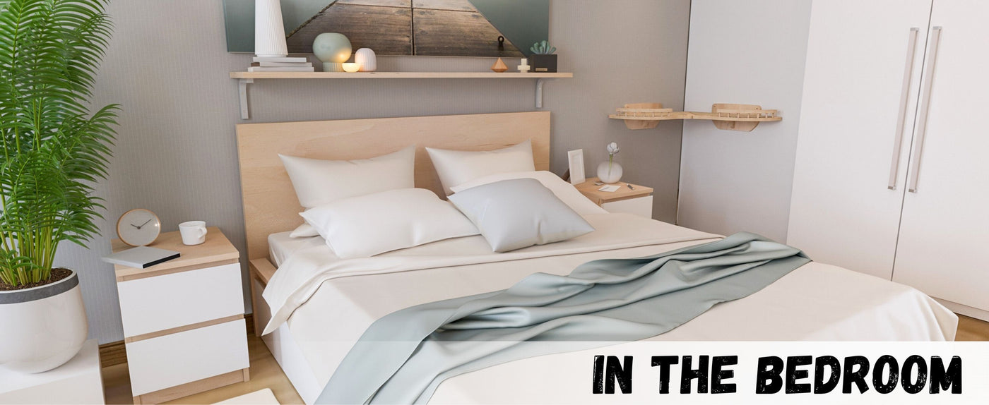 Modern bedroom with wooden bed, nightstands, and cat wall shelves