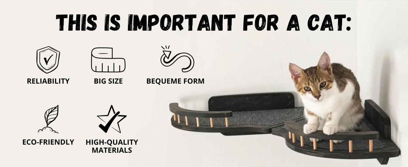 Cat shelf with a cat sitting on it, surrounded by icons and text about cat care.