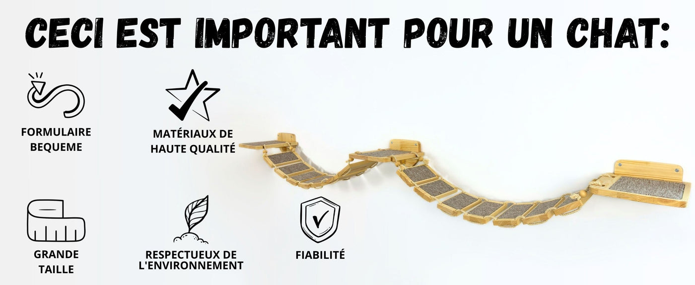 chats grimpant aux murs