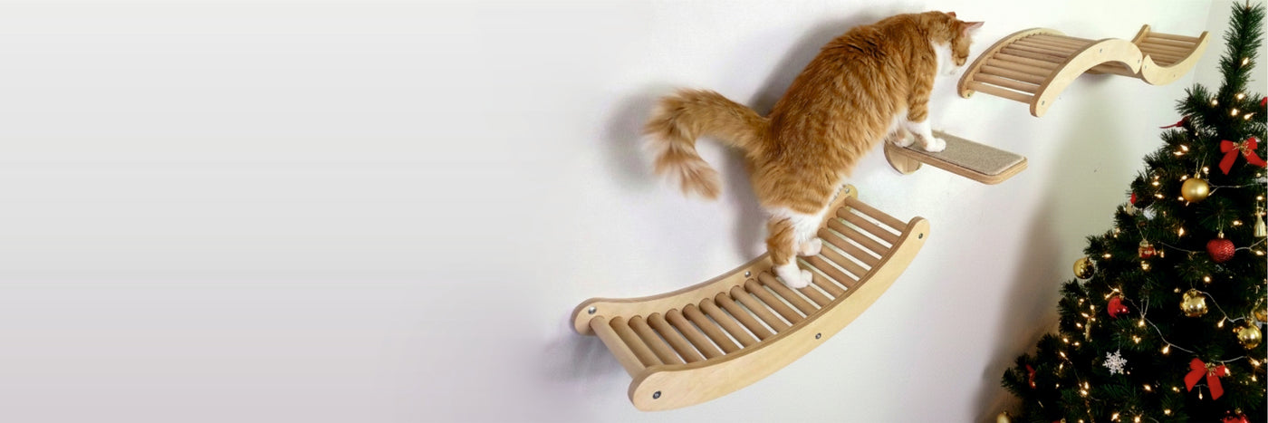 Cat climbing a wooden climbing shelf next to a decorated Christmas tree on a white background