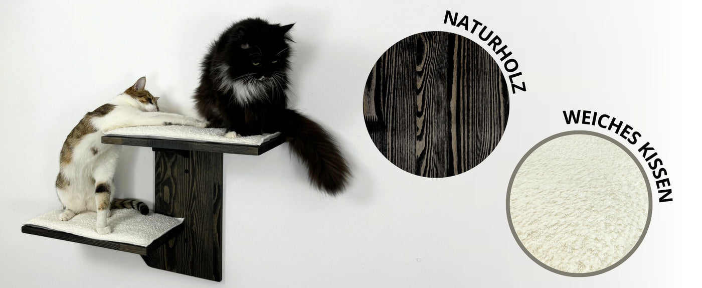 katzenliege wand