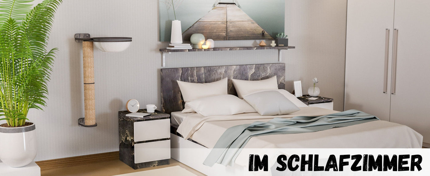 katzen wand klettern