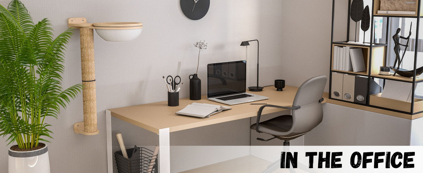 Modern office desk setup with computer, chair, and cat wall tree with cotton basket