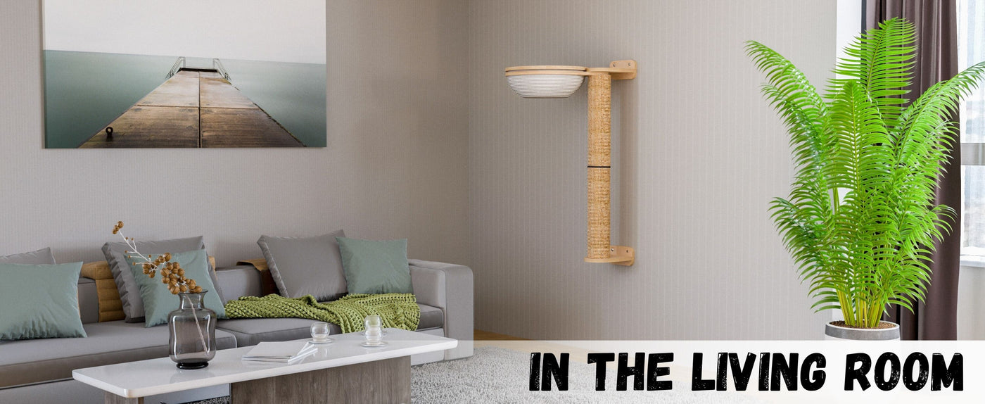 Living room with a couch, coffee table, wall lamp, and cat wall furniture