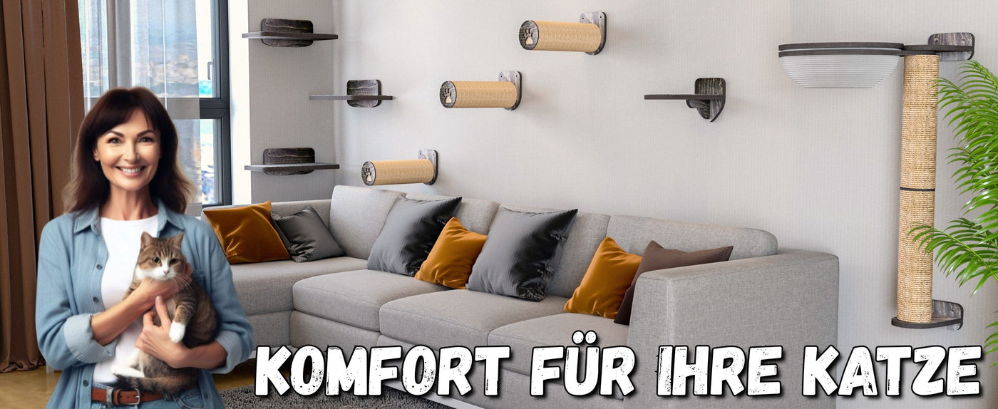 wandpark für katzen