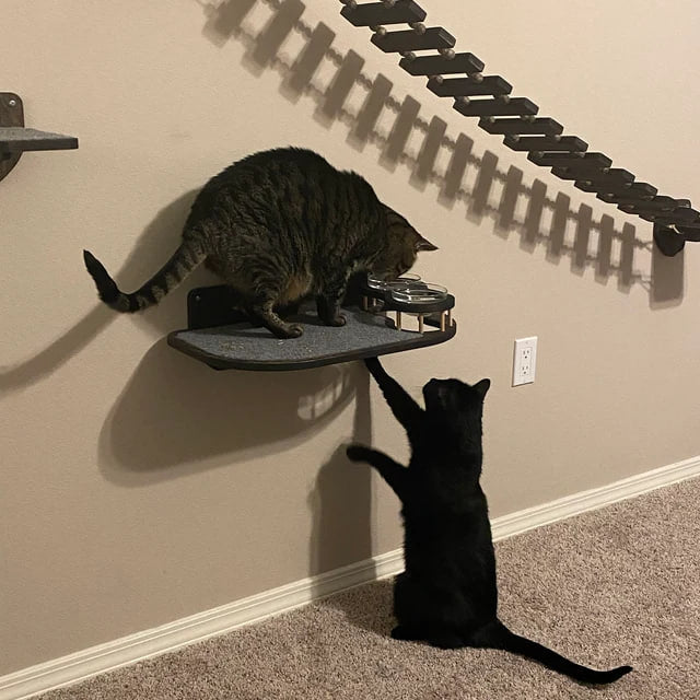 Durable and elegant cat shelf for feeding, featuring a dark wood frame, glass bowls, and a gray carpet finish