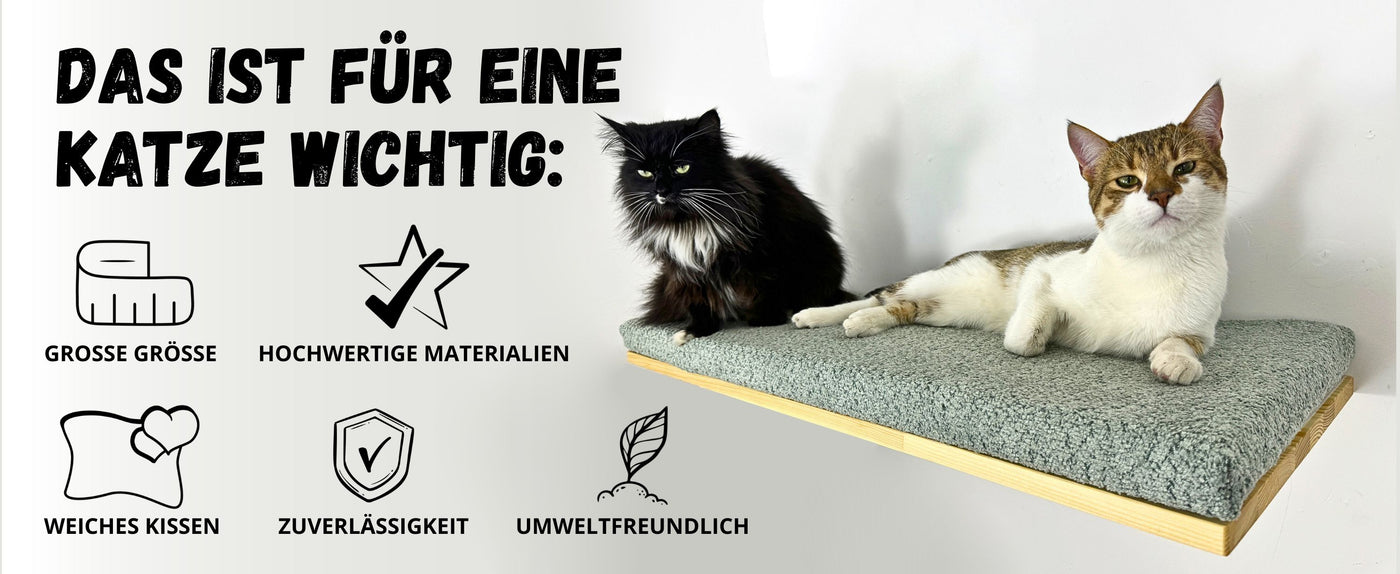 kletterwand katze