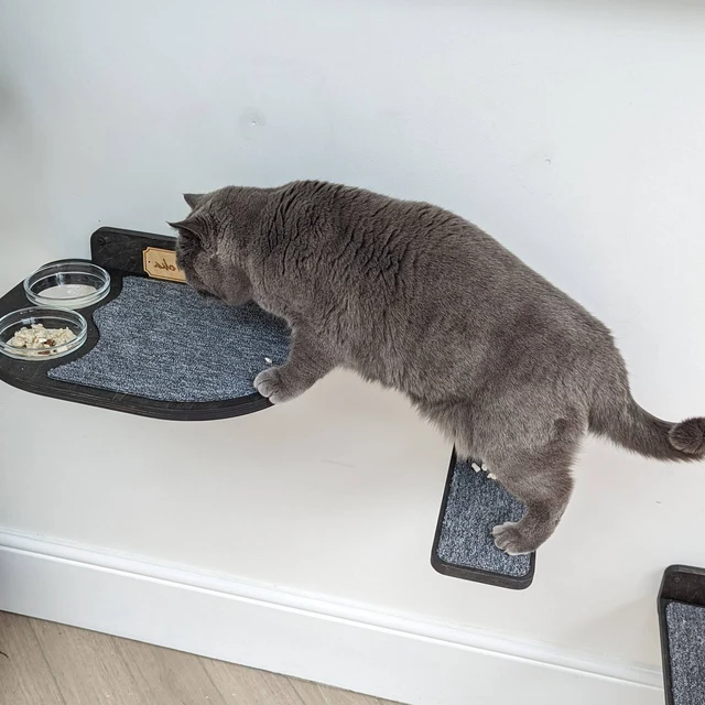 Pet feeding shelf with two bowls and cozy surface, mounted on the wall