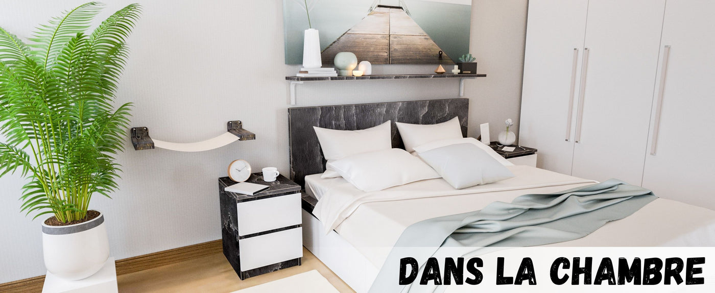 chats grimpants aux murs