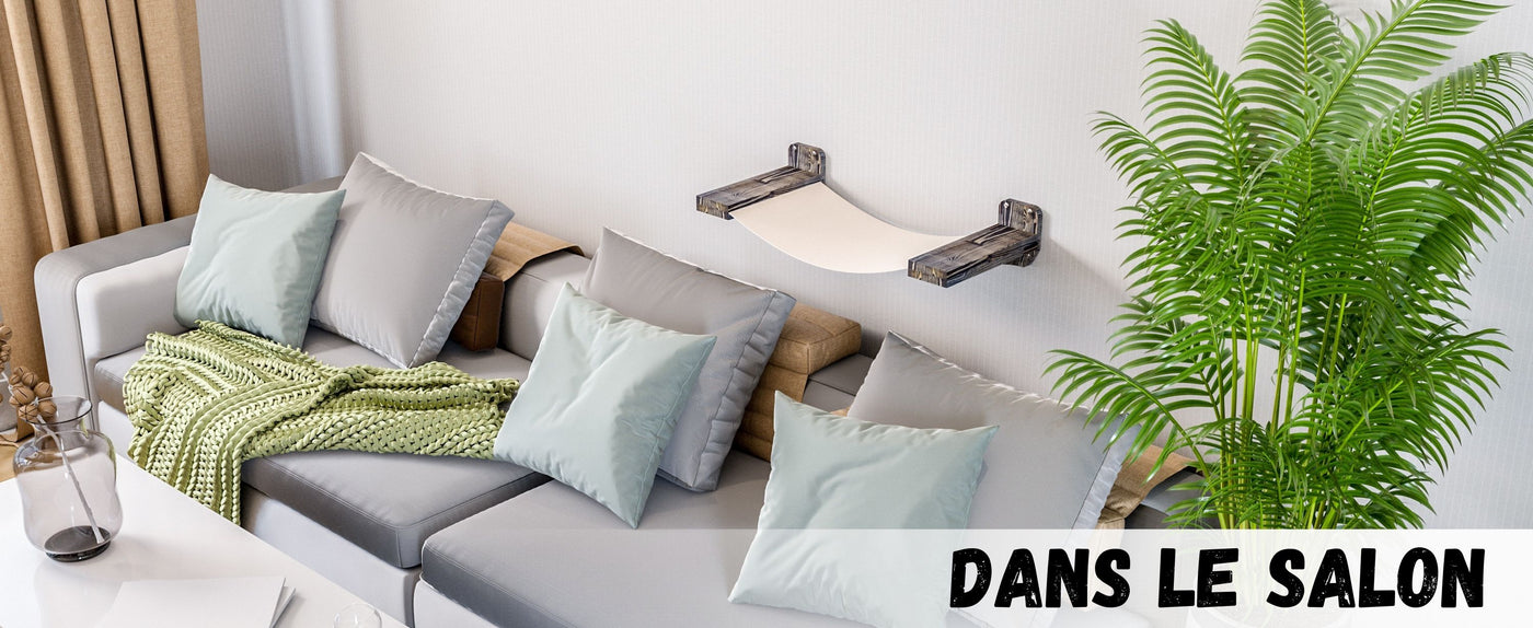 mur d'escalade pour chat