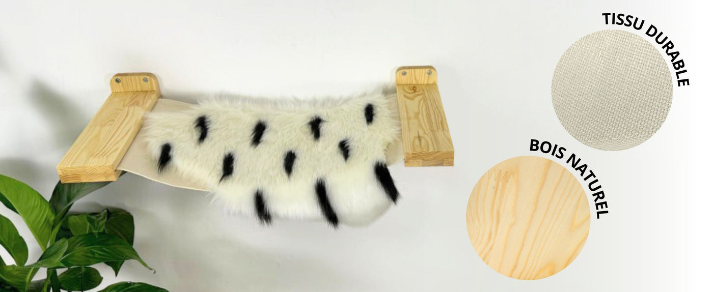 mur d'escalade pour chats