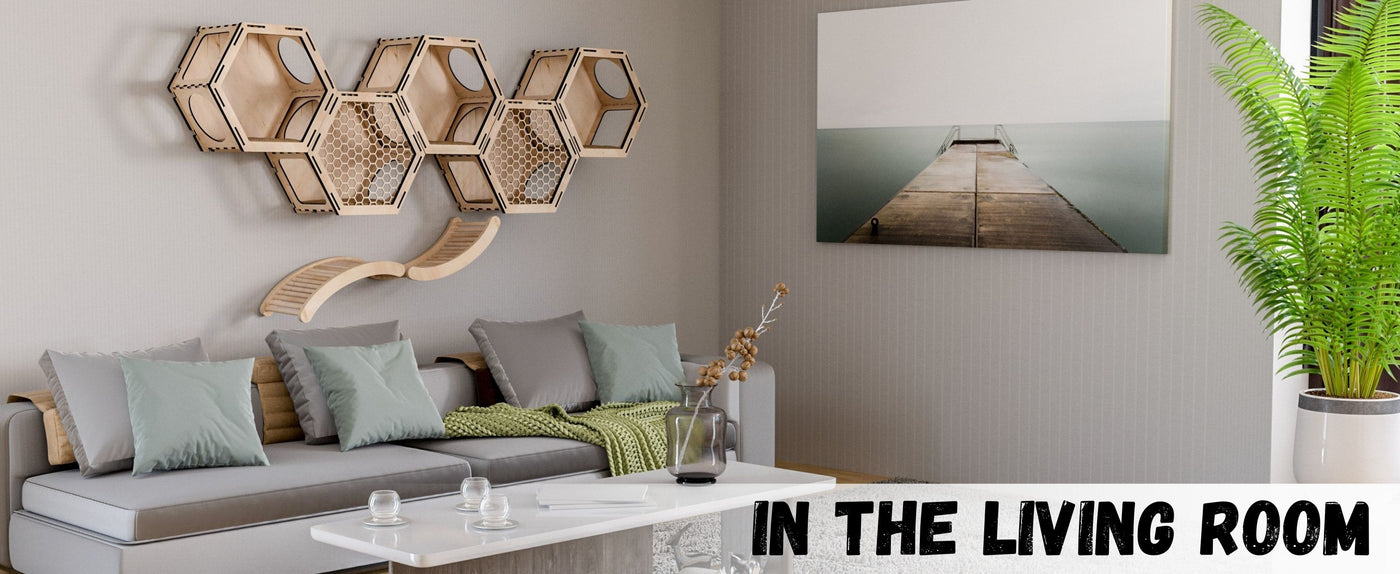 Modern living room with cat hexagonal wall beds, a sofa, coffee table, and decorative elements.