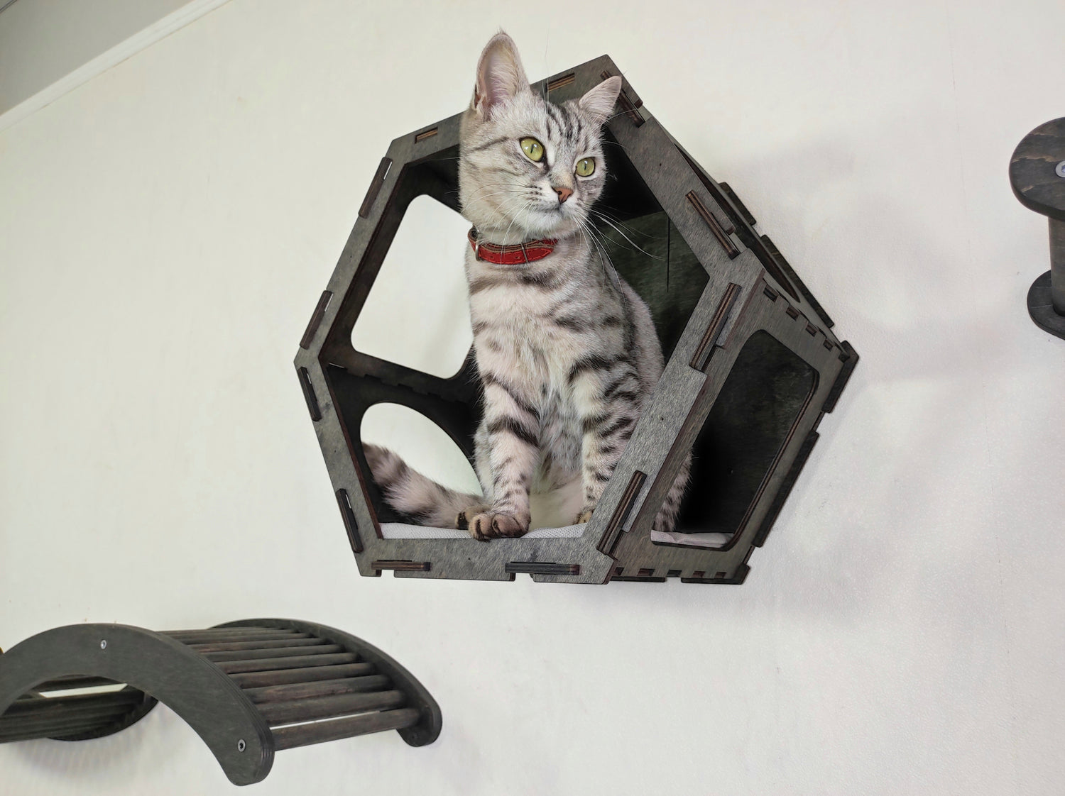 Hexagon cat wall shelf