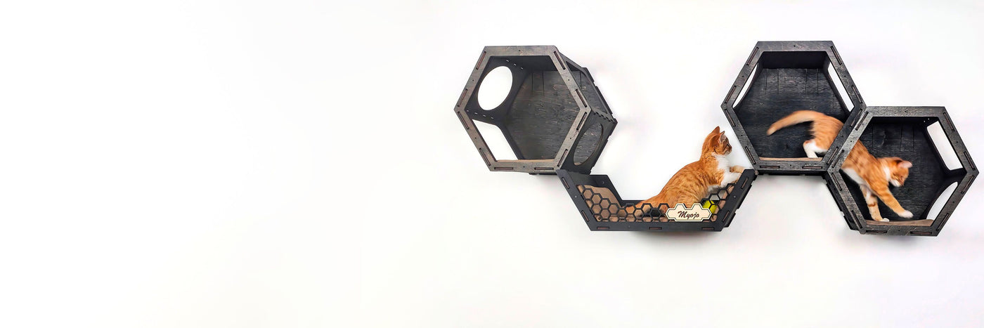 Hexagon cat wall shelves